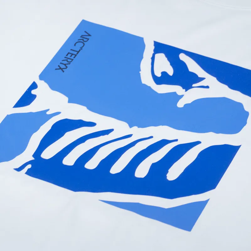 Arc'teryx Skeletile T Shirt Ether Vitality-1