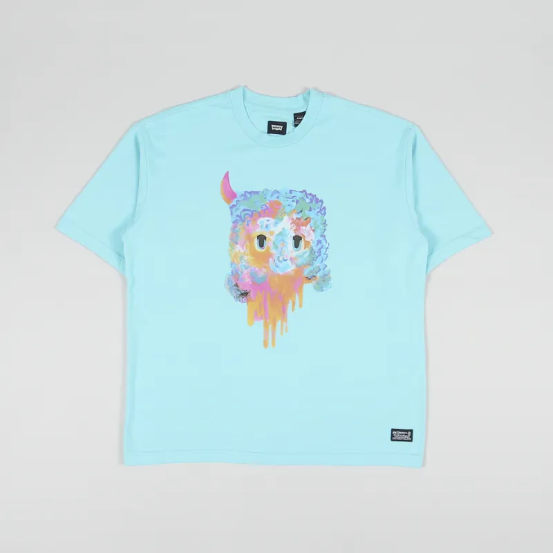 Levi's Skateboarding Skate Graphic Boxy T Shirt Bask Multi