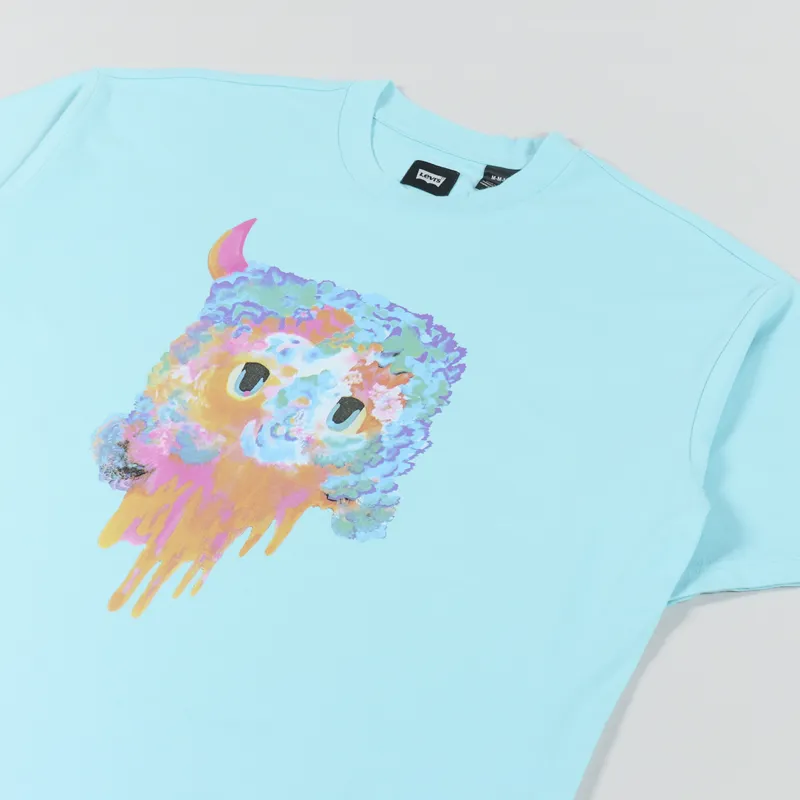 Levi's Skateboarding Skate Graphic Boxy T Shirt Bask Multi-3