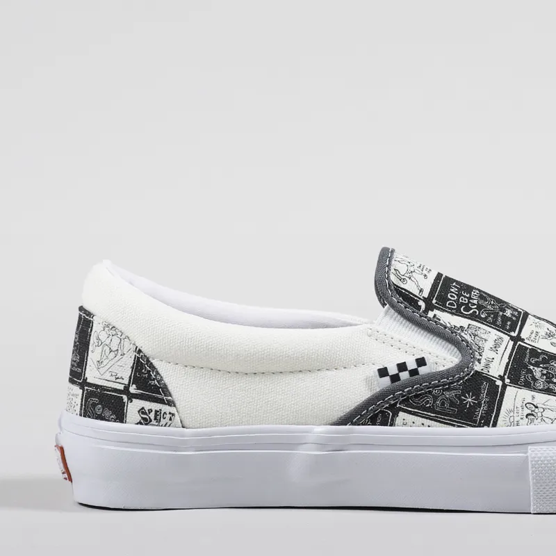 Skate slip ons 2025