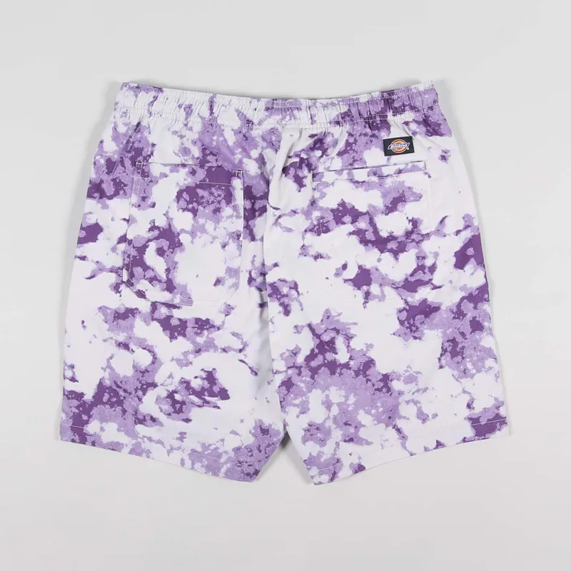 Dickies Sunburg Shorts Purple Gumdrop-1