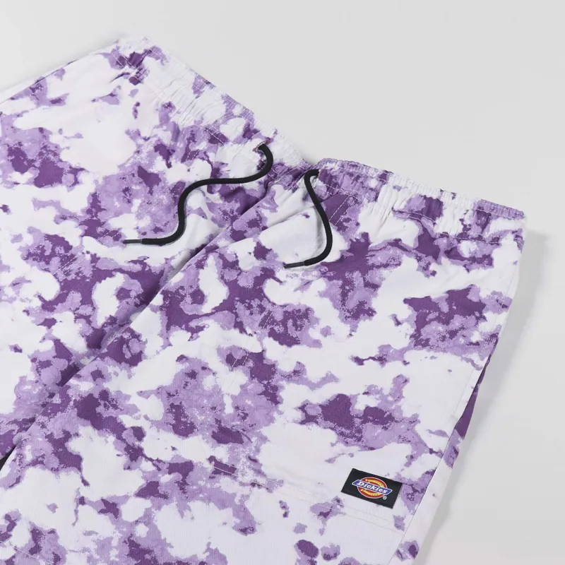 Dickies Sunburg Shorts Purple Gumdrop-3