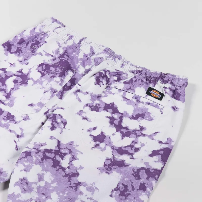 Dickies Sunburg Shorts Purple Gumdrop-2