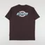 Dickies Ruston T Shirt Java