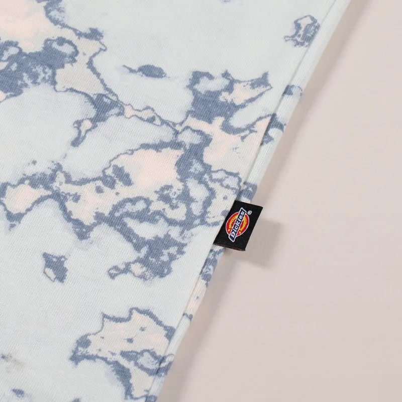 Dickies Sunburg T Shirt Fog Blue-3