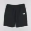 The North Face Travel Shorts Black