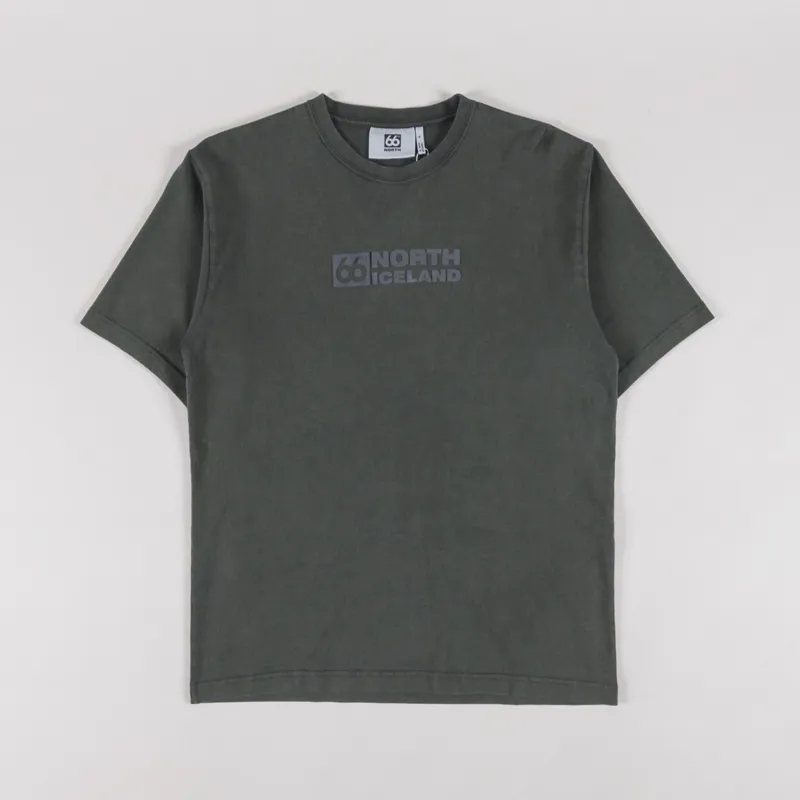 66 North Borgir T Shirt Alpine Grimmia