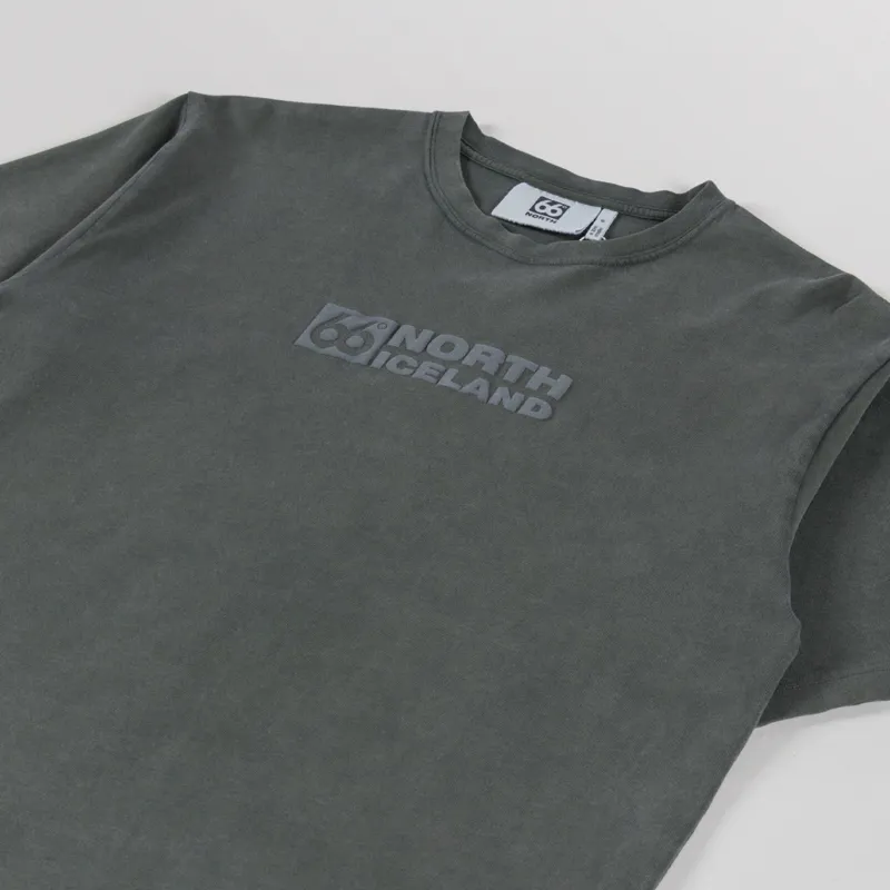 66 North Borgir T Shirt Alpine Grimmia-1