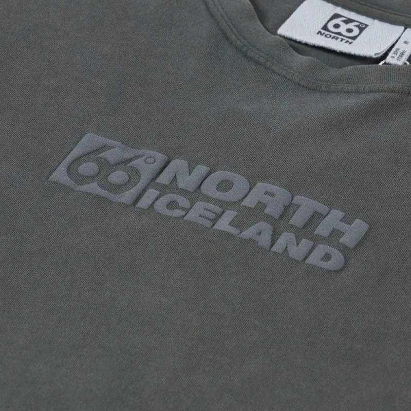 66 North Borgir T Shirt Alpine Grimmia-2