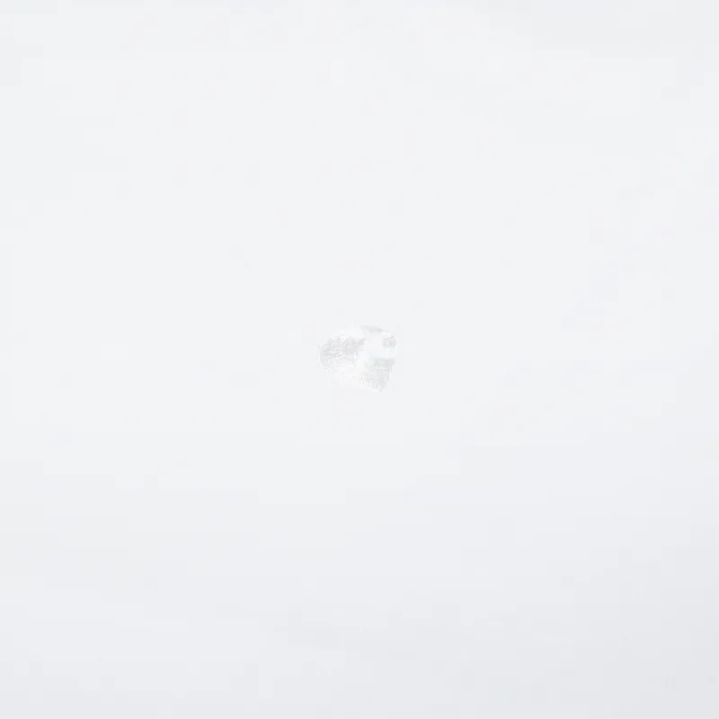 Carhartt WIP Womens Chester T Shirt White-6