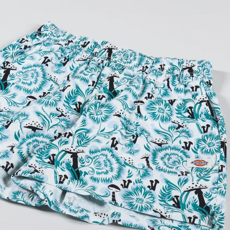 Dickies Womens Roseburg Shorts Cloud Floral-4