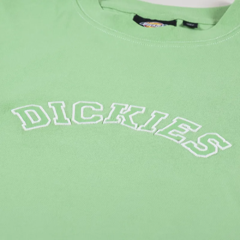 Dickies West Vale T Shirt Apple Mint-1