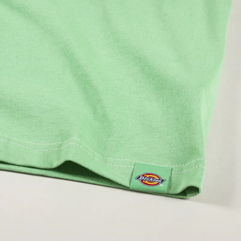 Dickies West Vale T Shirt Apple Mint-2