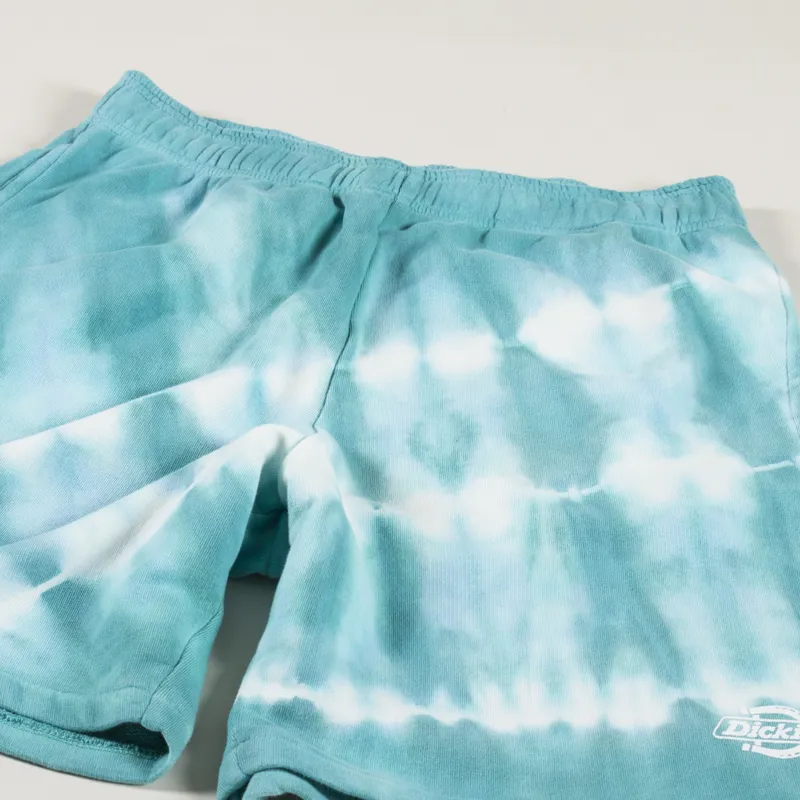 Dickies Westfir Shorts Sky Blue-2