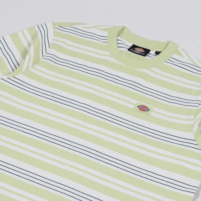 Dickies Wheaton T Shirt Mellow Green-1