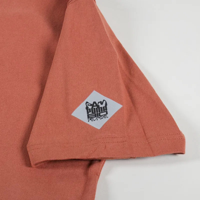 Puma x Perks and Mini Graphic T Shirt Apple Cider-3