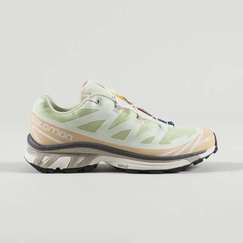 Salomon XT-6 Shoes Aloe Wash Hazelnut Feather Grey-4