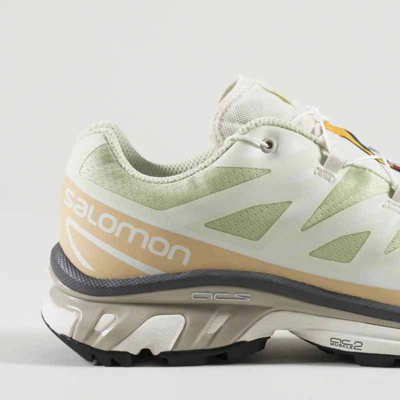 Salomon XT-6 Shoes Aloe Wash Hazelnut Feather Grey-5