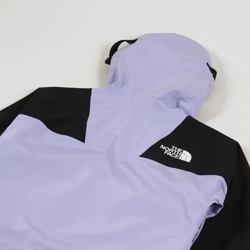 The North Face 1994 Retro Mountain Light FUTURELIGHT Jacket Lavender-5
