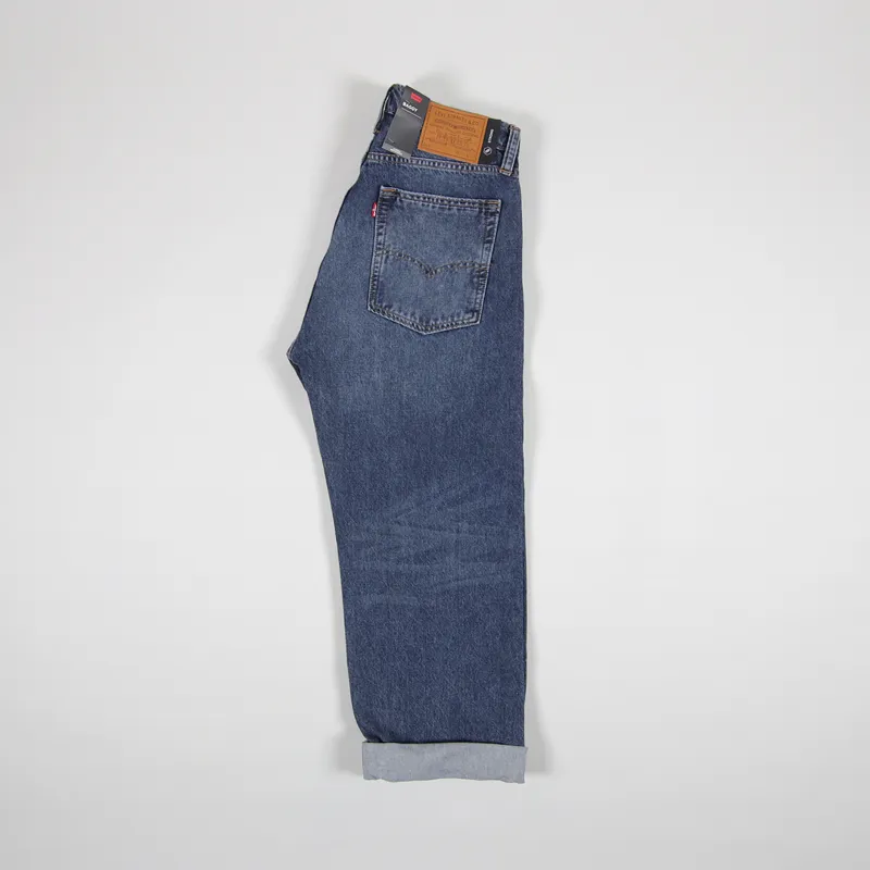 Levis Skate Baggy 5 Pocket SE Jeans Bush-2