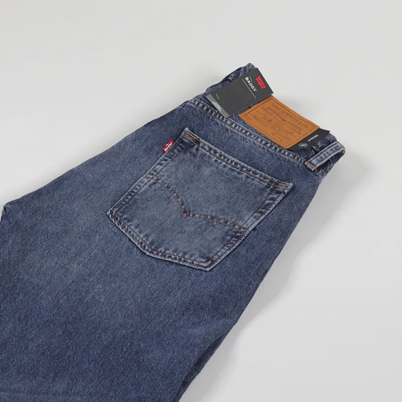 Levis Skate Baggy 5 Pocket SE Jeans Bush-3