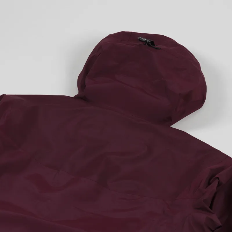 Arcteryx Beta SL Hybrid Jacket Rhapsody-3