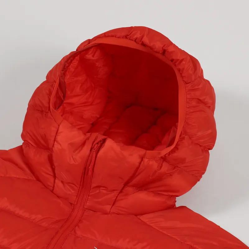 Arcteryx Cerium LT Hoody Dynasty-10