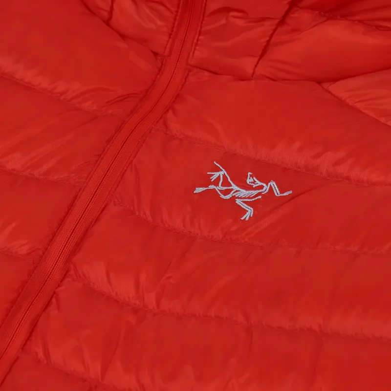 Arcteryx Cerium LT Hoody Dynasty-8