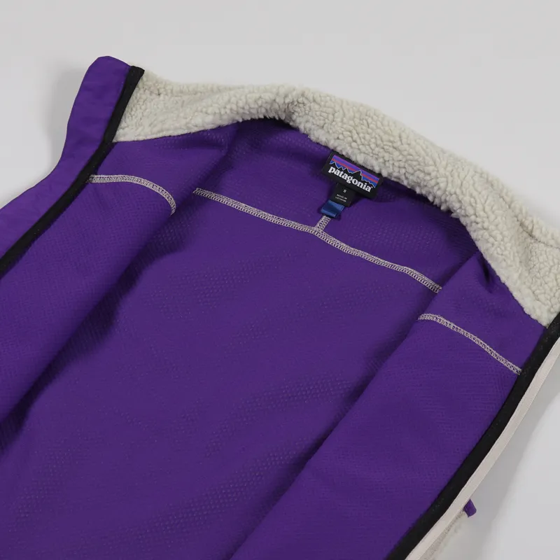 Patagonia Mens Winter Classic Retro-X Fleece Vest Pelican Purple