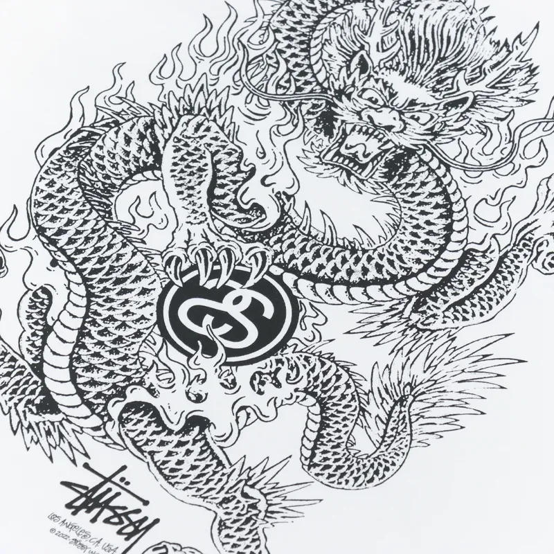 Stussy Dragon T Shirt White-4