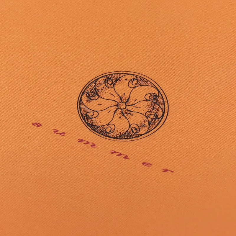 Carhartt WIP Juice T Shirt Hokkaido-5