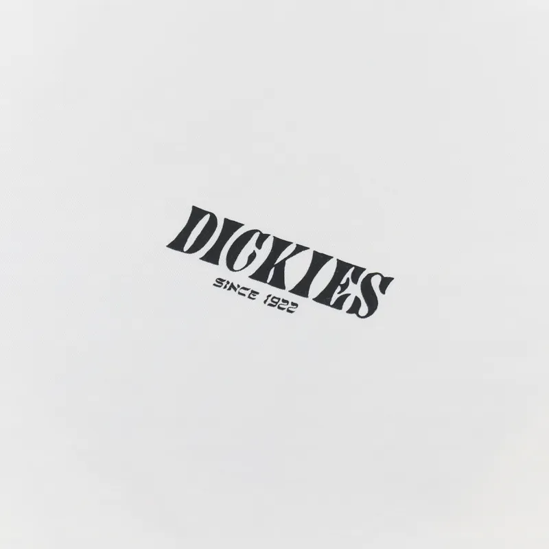 Dickies Kelso T Shirt Ecru-5