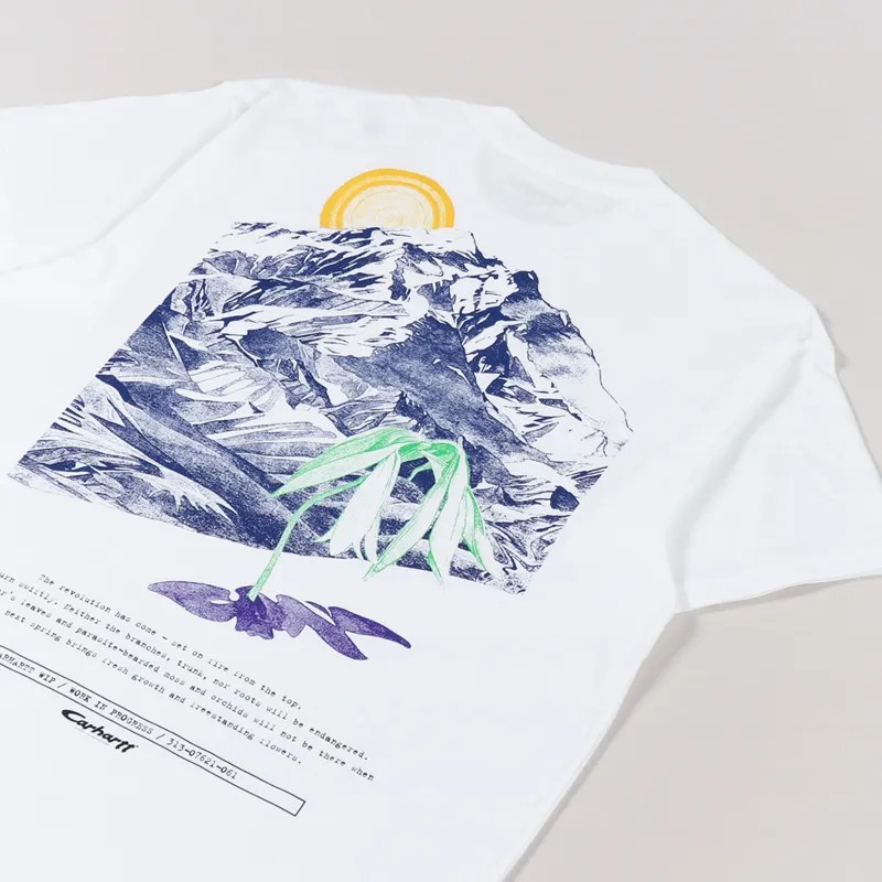 Carhartt WIP Mountain T Shirt White-2
