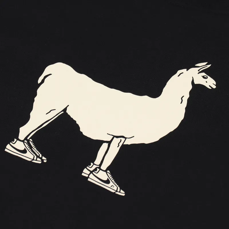 Nike SB Paul T Shirt Black-4