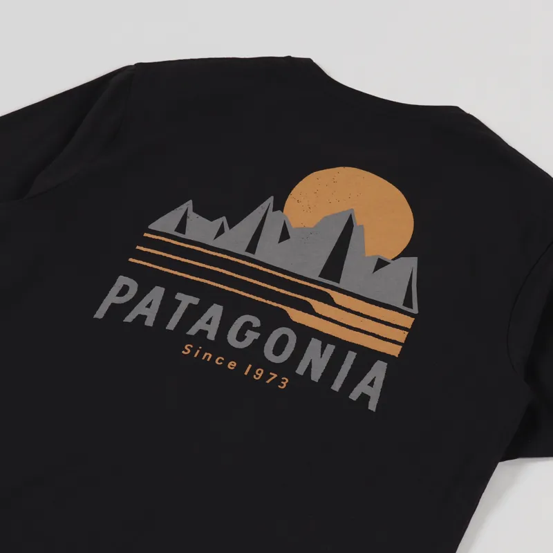 Patagonia Tube View Organic T Shirt Black-2