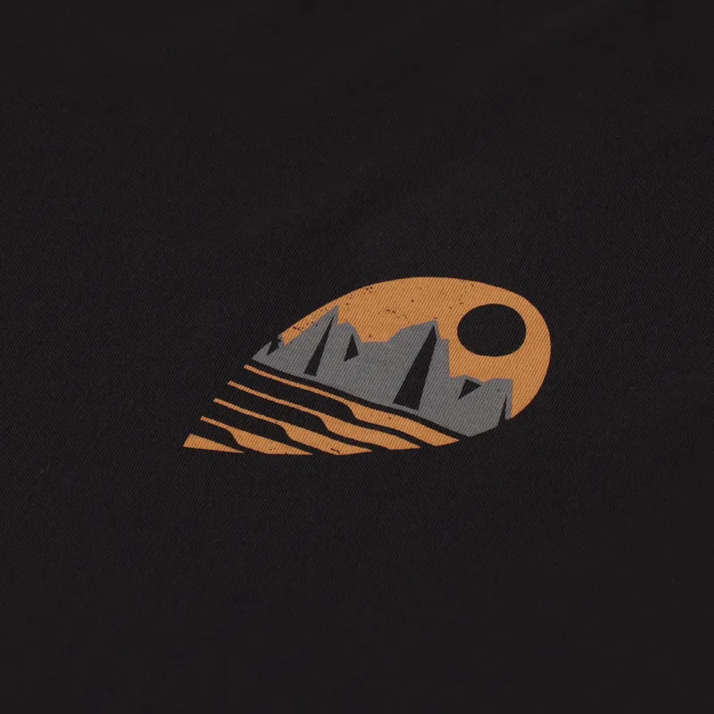 Patagonia Tube View Organic T Shirt Black-4