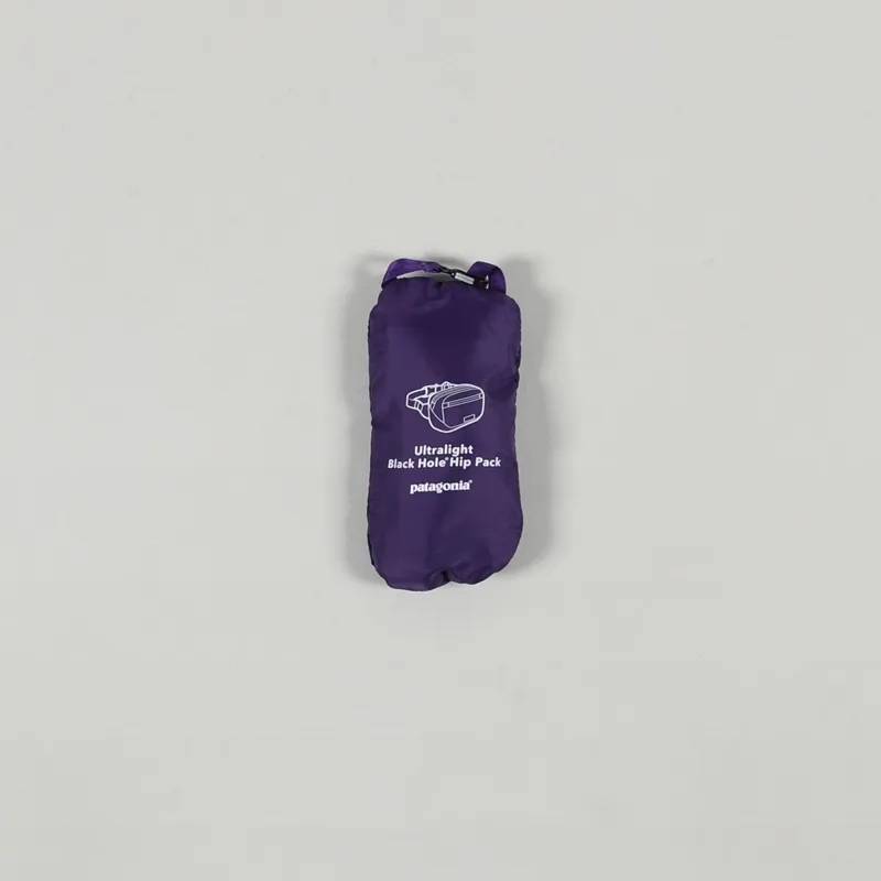 Patagonia Ultralight Black Hole Mini Hip Pack Purple-2