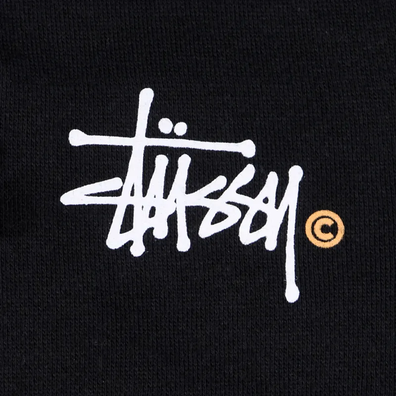Stussy Basic Logo Zip Hood Black-1