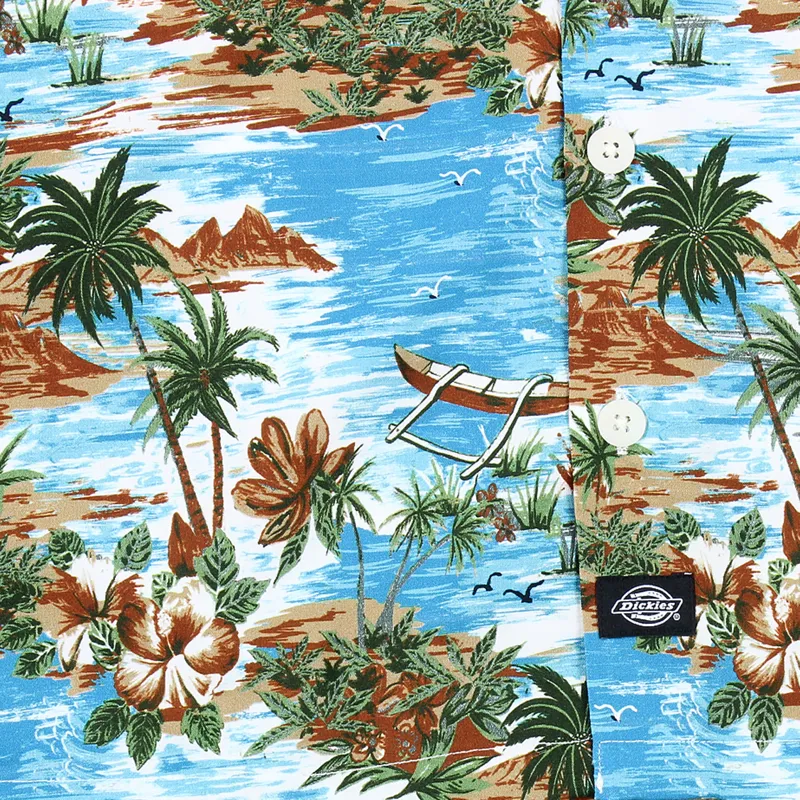 Dickies Blossvale Shirt Ocean-2