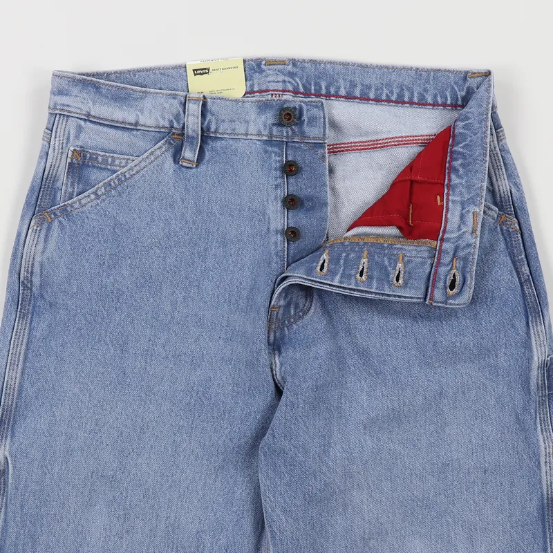 Levis Skate Carpenter Pants SE Iris-2