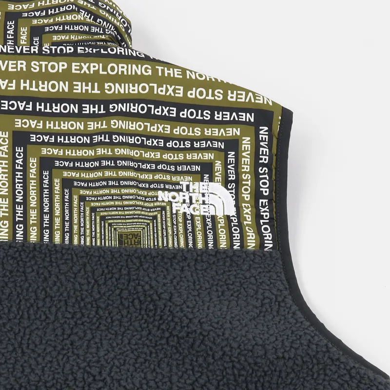 The North Face Denali Fleece Vest Asphalt Grey LCD Capsule Print-5