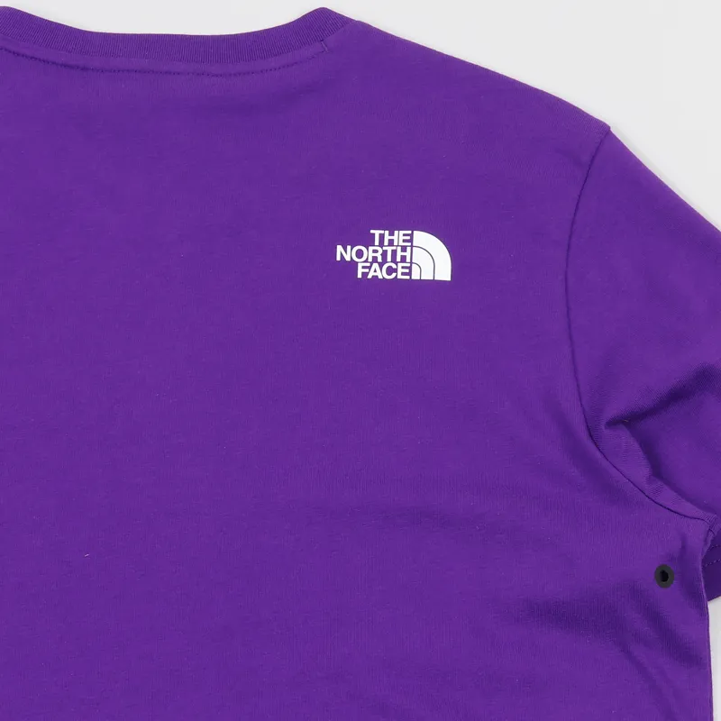 The North Face Black Label Fine 2 T Shirt Tillandsia Purple-5