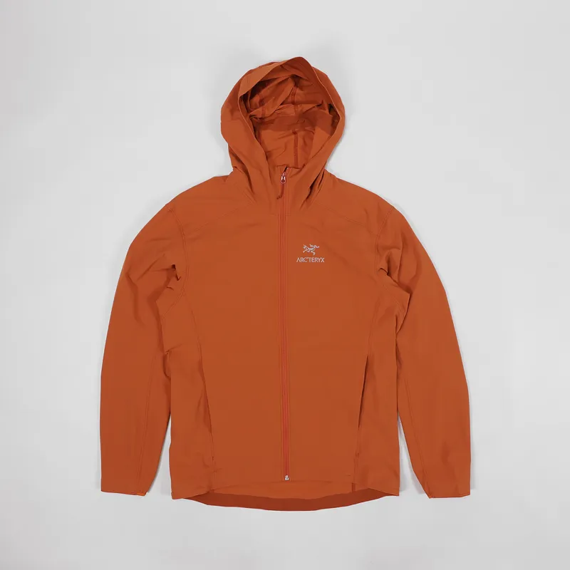 Arcteryx Gamma SL Hoody Agra-2