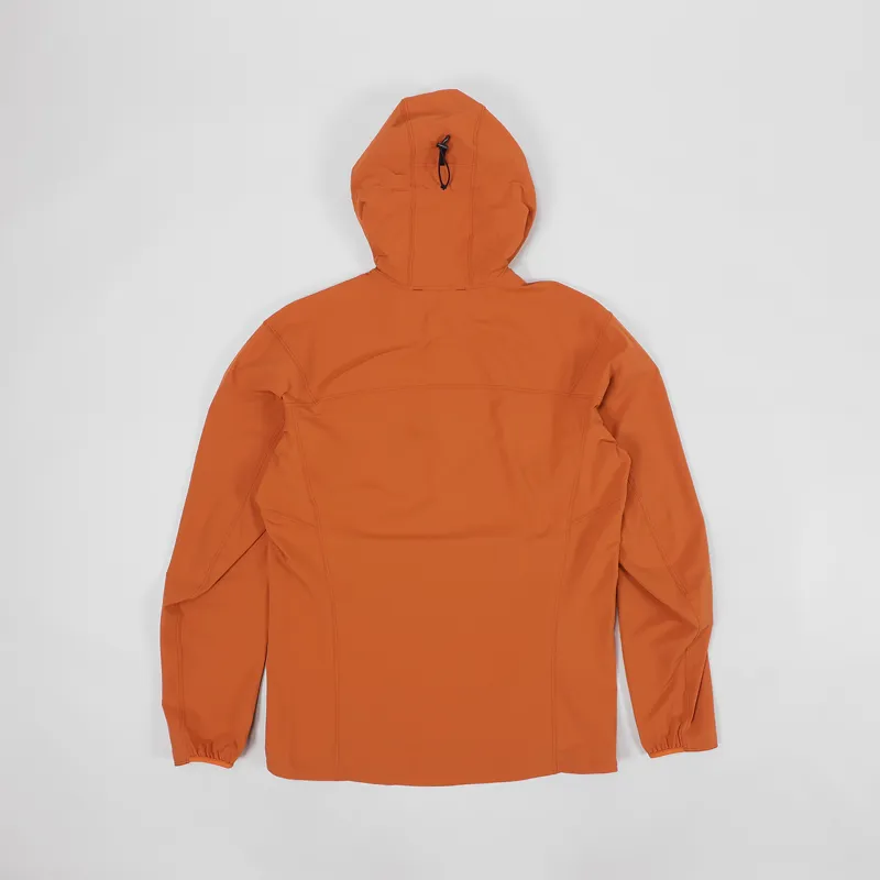 Arcteryx Gamma SL Hoody Agra-5