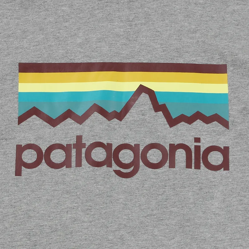Patagonia Line Logo Midweight Hoody Feather Grey-1