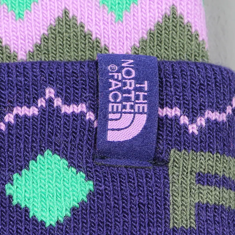 The North Face Ski Tuke V Beanie Hat Purple-1