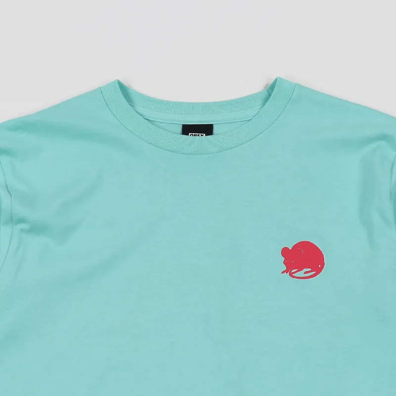 Obey Wall Of Death T Shirt Celadon-2