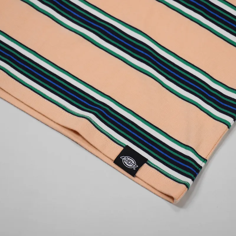Dickies Lithia Springs T Shirt Peach Brulee-4