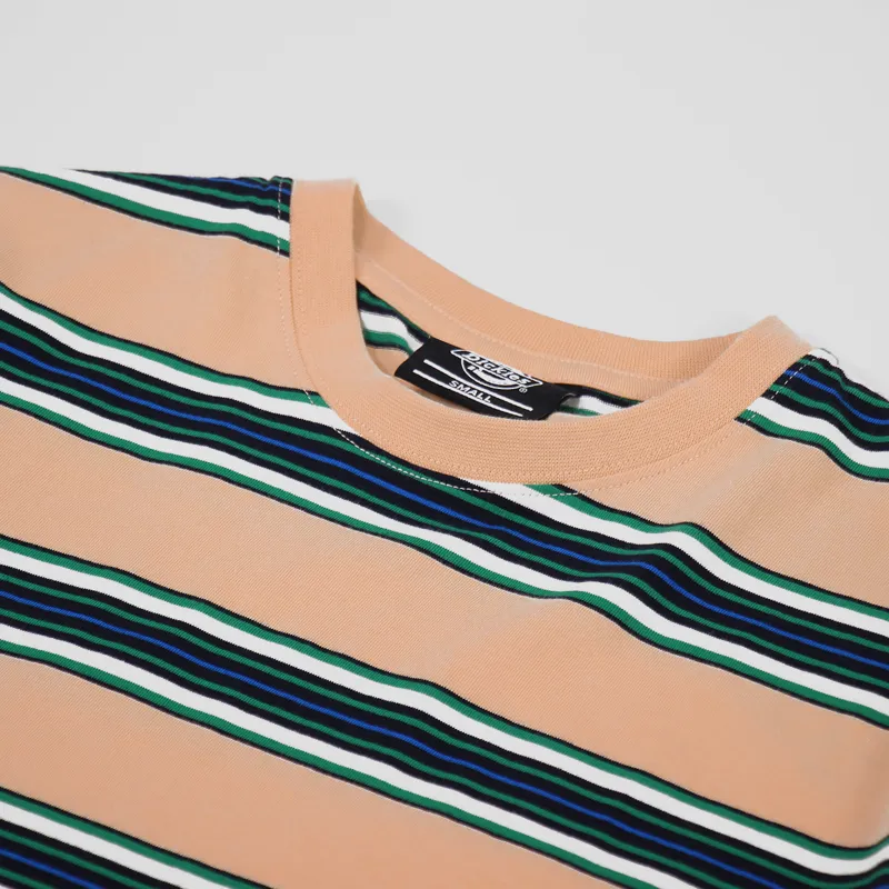 Dickies Lithia Springs T Shirt Peach Brulee-2