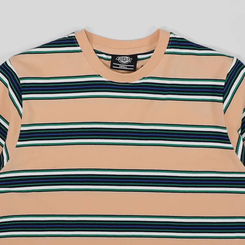 Dickies Lithia Springs T Shirt Peach Brulee-1